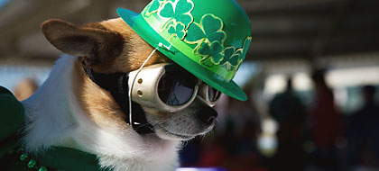Get Your Green On - Celebrate St. Patrick's Day