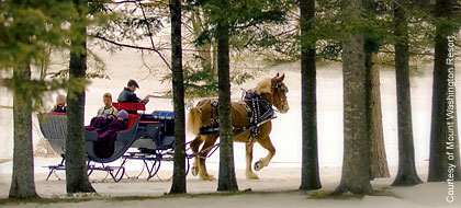 Mount Washingtong Resort Sleigh Rides